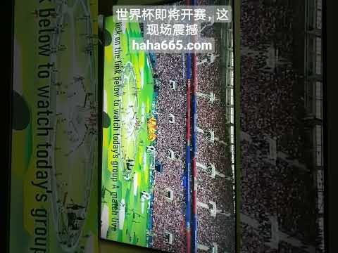 亚冬会女子,米短道速滑,接力奖牌颁,Bet365中国app,中国版,体育博彩,移动应用,在线投注,体育赛事